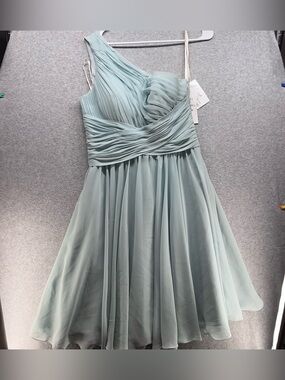 Bari Jay One-Shoulder Pleated Chiffon Dress in Sage Green